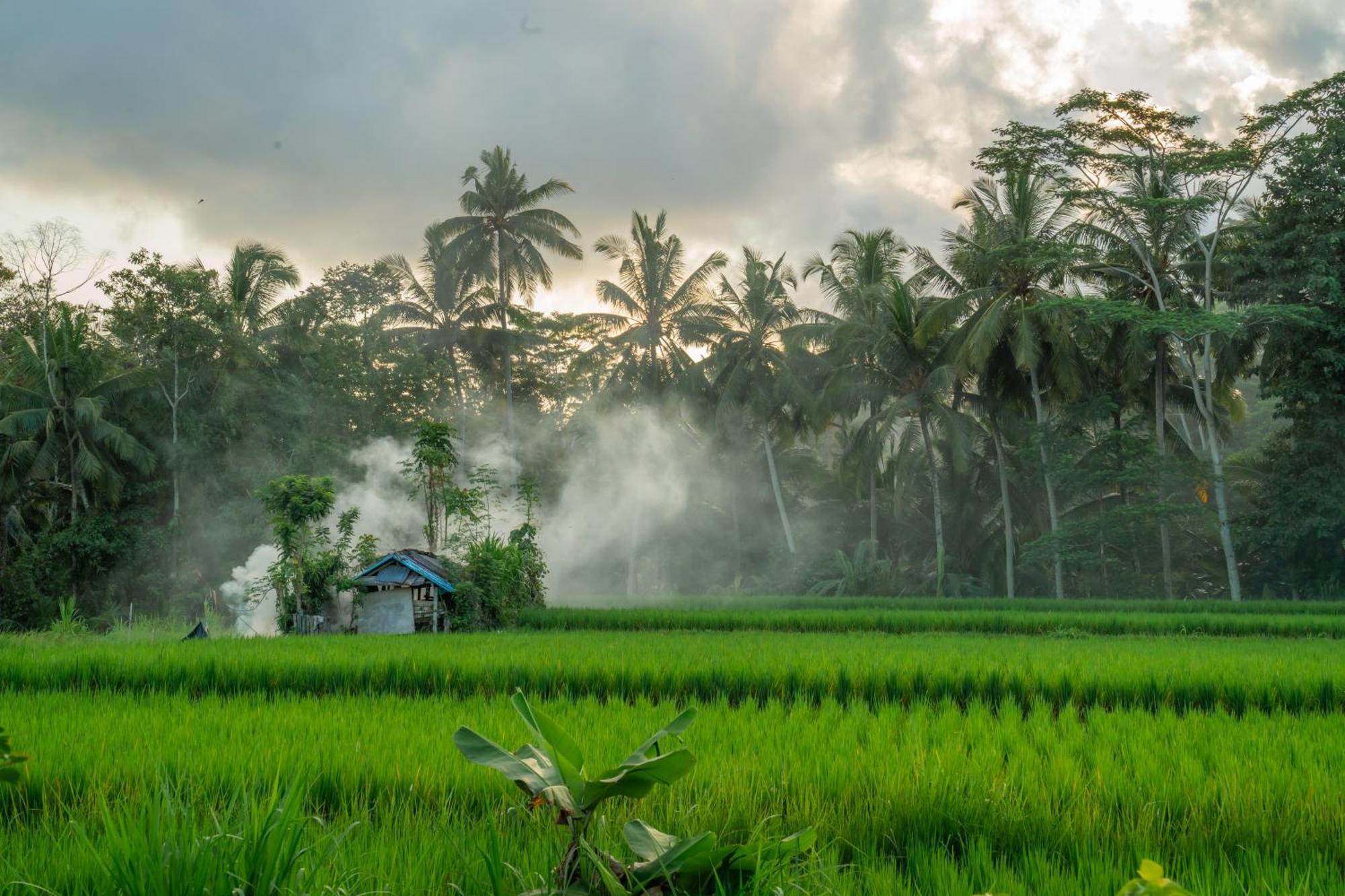 Kampung Uma Dawa Villas And Spa أوبود المظهر الخارجي الصورة