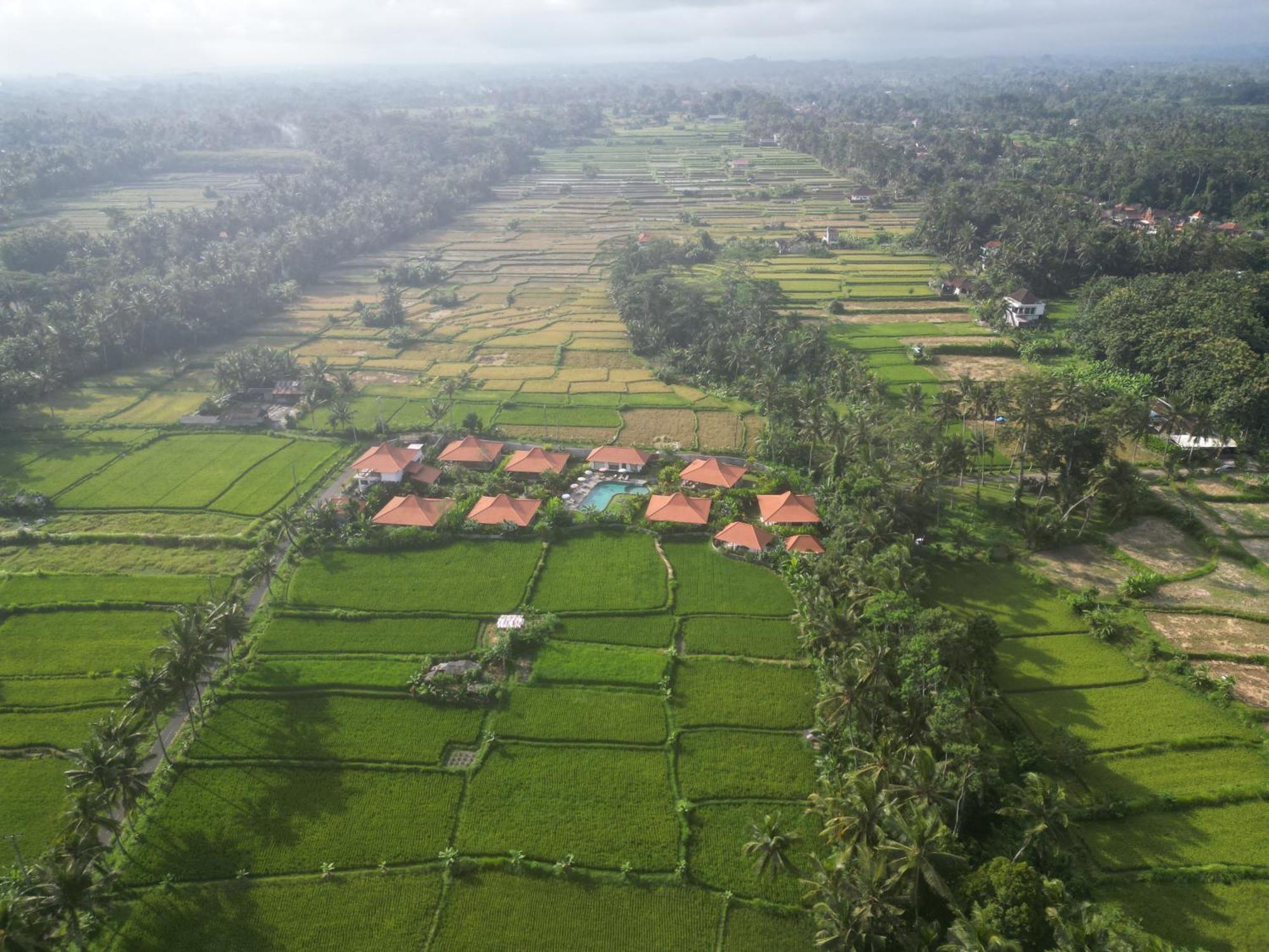 Kampung Uma Dawa Villas And Spa أوبود المظهر الخارجي الصورة