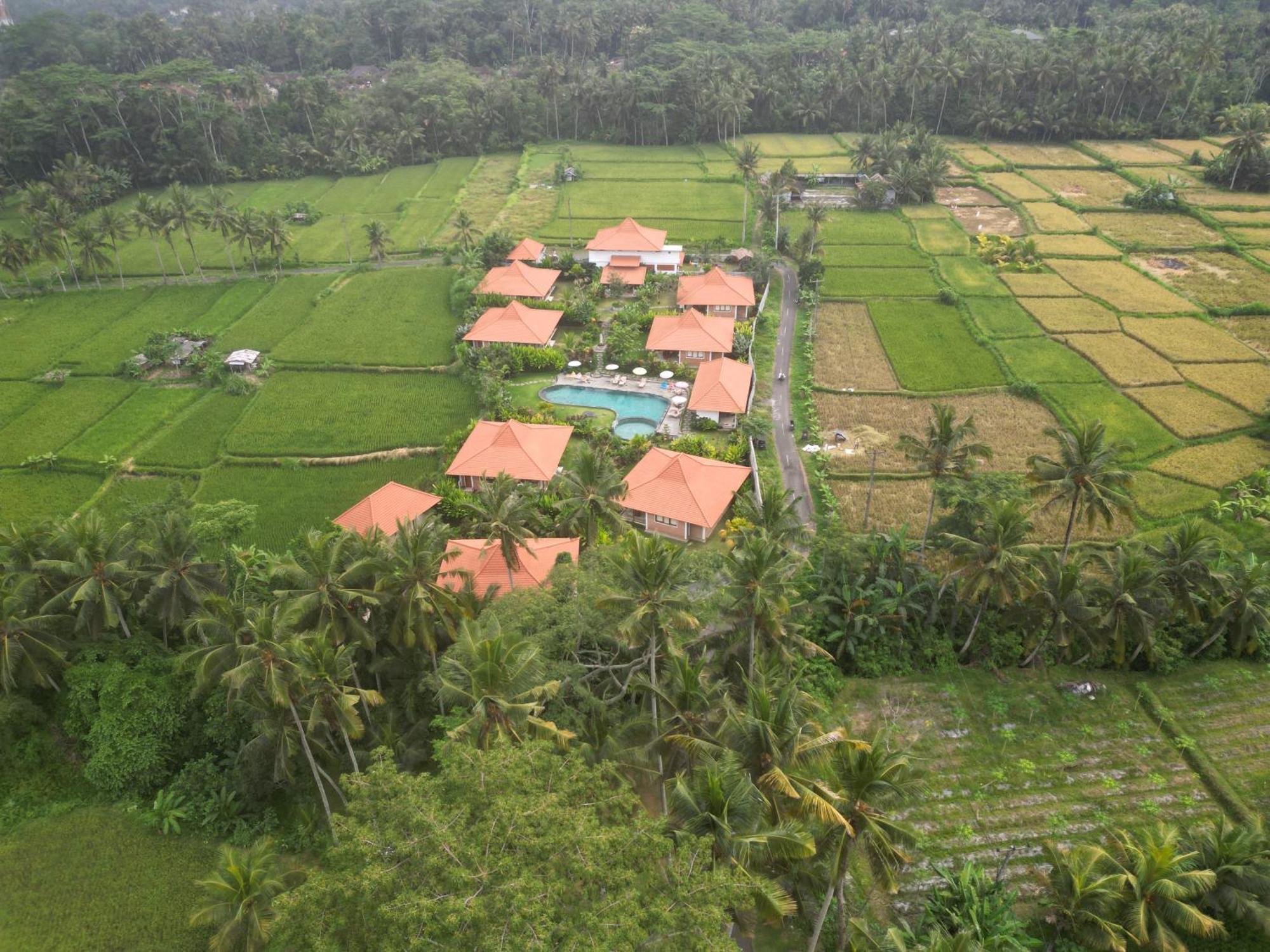 Kampung Uma Dawa Villas And Spa أوبود المظهر الخارجي الصورة
